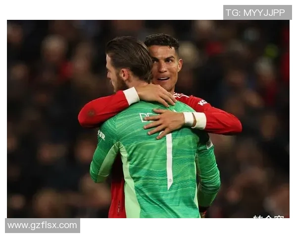 足球明星转场视频揭秘转会背后的故事与精彩瞬间